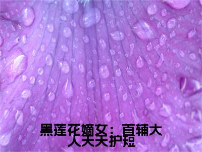 黑莲花嫡女：首辅大人天天护短小说(沈清霜顾砚之)小说结尾+隐藏篇章（黑莲花嫡女：首辅大人天天护短沈清霜顾砚之）畅享阅读