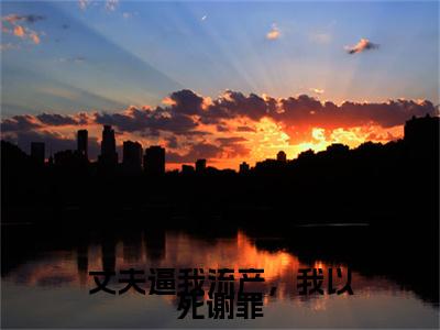 丈夫逼我流产，我以死谢罪彩蛋小说结尾+附加（霍远凡肖灿）清爽版阅读