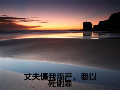 霍远凡肖灿：结局+番外宝藏文高分小说丈夫逼我流产，我以死谢罪