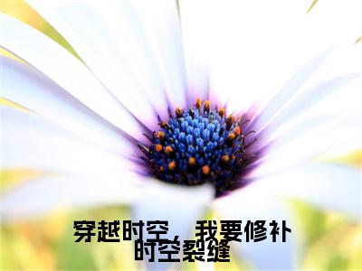 穿越时空，我要修补时空裂缝:全文+番外（沈南栀）TXT+后续+结局在线阅读
