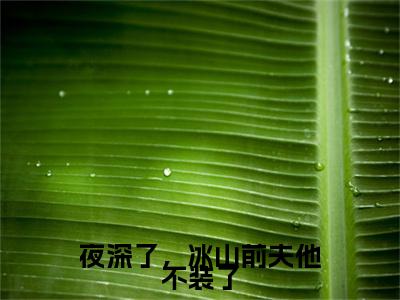 慕久卿蓝苡夜深了，冰山前夫他不装了：结局+番外（夜深了，冰山前夫他不装了）番外篇章章节列表