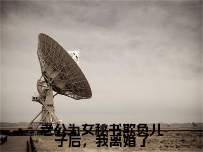 老公为女秘书欺负儿子后，我离婚了小说无删减+后续（宋文,许薇）畅享阅读
