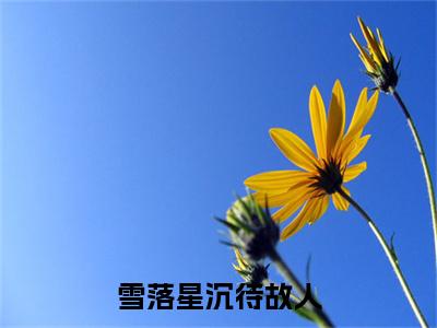许南意林乔阳雪落星沉待故人后续(许南意林乔阳)（雪落星沉待故人）完整章节列表_笔趣阁