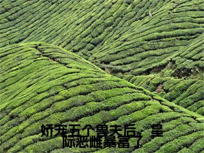 （书荒必看）白芷小说(娇宠五个兽夫后，星际恶雌暴富了)无删减在线下载阅读最终终章