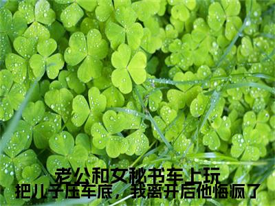 老公和女秘书车上玩把儿子压车底，我离开后他悔疯了小说（林渊,顾澜音）TXT无套路在线+无广告结局