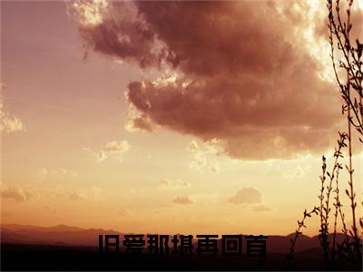 江挽星季临朔小说(旧爱那堪再回首)（江挽星季临朔）整本+后续+结局在线阅读