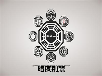 暗夜荆棘小说完本(暗夜荆棘)（林亦忻）前传+整本阅读全新作品预订