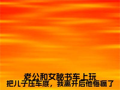 老公和女秘书车上玩把儿子压车底，我离开后他悔疯了小说完本+外篇（林渊,顾澜音）畅享阅读