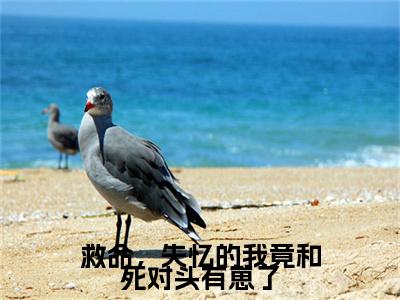 救命，失忆的我竟和死对头有崽了小说章节目录+章节前文（褚曦宁,顾沉弦）TXT清爽版在线