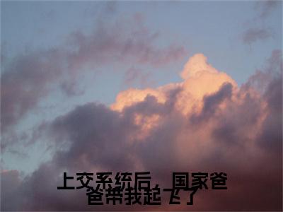 完结篇小说上交系统后，国家爸爸带我起飞了小说(公羊倩丽)已更新+无删减（上交系统后，国家爸爸带我起飞了）无广告