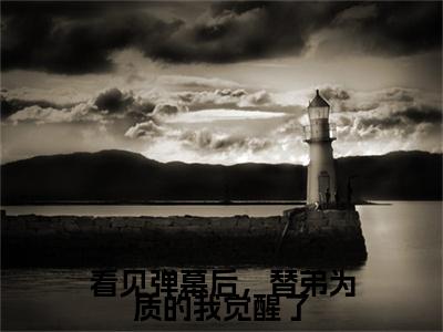 （妹宝,皇子党,登基）看见弹幕后，替弟为质的我觉醒了妹宝,皇子党,登基无删减小说在线无广告高口碑小说