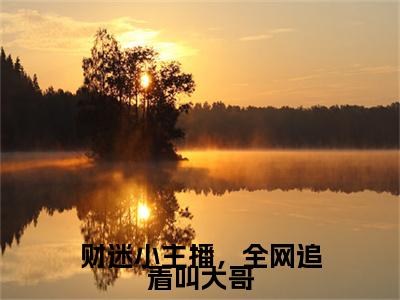 财迷小主播，全网追着叫大哥小说(孟茴纪云深)全文+后续（财迷小主播，全网追着叫大哥）无套路阅读