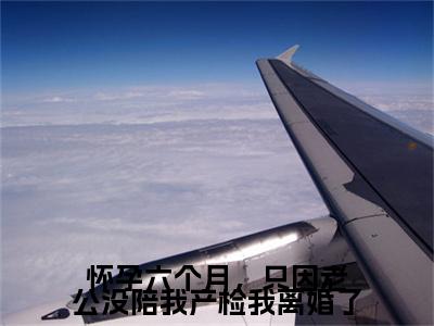 魏浔,许清清小说完本(魏浔,许清清)（怀孕六个月，只因老公没陪我产检我离婚了）前传+整本阅读全新作品预订