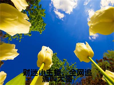 （头条）孟茴纪云深小说(财迷小主播，全网追着叫大哥)整本免费版阅读无广告（孟茴纪云深）