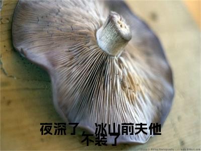 夜深了，冰山前夫他不装了(慕久卿蓝苡)（夜深了，冰山前夫他不装了）在线畅读+开篇大作+前传