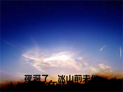 夜深了，冰山前夫他不装了慕久卿蓝苡：结局+番外（慕久卿蓝苡）番外篇章章节列表
