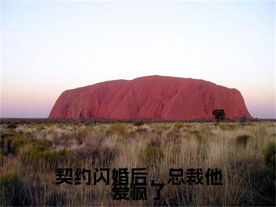 高分_契约闪婚后，总裁他爱疯了(宸明楷楚辞)（契约闪婚后，总裁他爱疯了）全本完整阅读