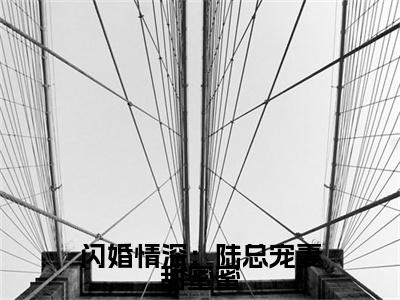 独家闪婚情深：陆总宠妻甜蜜蜜：结局+番外精编之作（陆熠洲白洛瑶）电子书畅享阅读