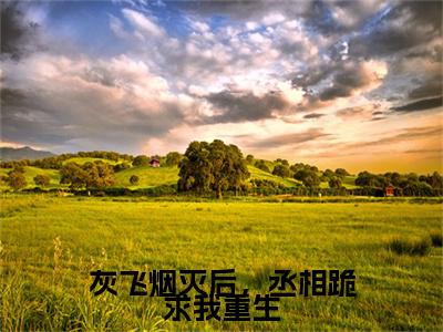 孟承安,林瑟瑟小说(灰飞烟灭后，丞相跪求我重生)全文+后续（孟承安,林瑟瑟）畅享阅读