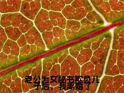 宋文,许薇老公为女秘书欺负儿子后，我离婚了电子书+番外篇章+（老公为女秘书欺负儿子后，我离婚了）免费版在线阅读