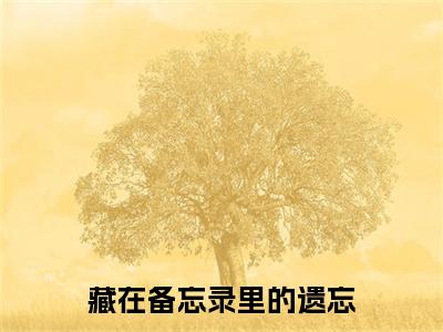 谢聿深桑宴宁小说(藏在备忘录里的遗忘)（谢聿深桑宴宁）完整章节列表_笔趣阁