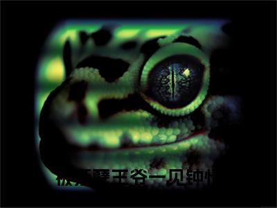 被妖孽王爷一见钟情啦番外+结局（苏檀儿,萧煜）小说在线阅读