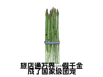 旅店通万界，假千金成了国家级团宠：结局+番外免费品鉴 男女剧情人物分别是黎知弋的玄幻言情小说《旅店通万界，假千金成了国家级团宠》，由网络作家“海鸥”所著，展现了一段感人至深的故事，本站纯净无弹窗，欢迎阅读！本书共计210917字，100章节，：结局+番外评价五颗星