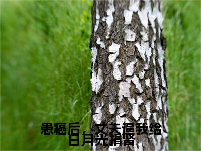 患癌后，丈夫逼我给白月光捐肾小说完整在线阅读（钱泓宇,沈冰,林菁）前传列表