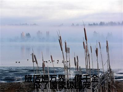 男女剧情人物分别是黎知弋的玄幻言情小说《旅店通万界，假千金成了国家级团宠》，由网络作家“海鸥”所著，展现了一段感人至深的故事，本站纯净无弹窗，欢迎阅读！本书共计210917字，100章节，小说(旅店通万界，假千金成了国家级团宠)小说结尾+隐藏篇章（男女剧情人物分别是黎知弋的玄幻言情小说《旅店通万界，假千金成了国家级团宠》，由网络作家“海鸥”所著，展现了一段感人至深的故事，本站纯净无弹窗，欢迎阅读！本书共计210917字，100章节，）畅享阅读