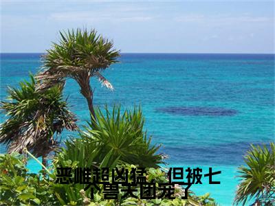 凌承恩：结局+番外免费品鉴终极反转（恶雌超凶猛，但被七个兽夫团宠了）：结局+番外评价五颗星