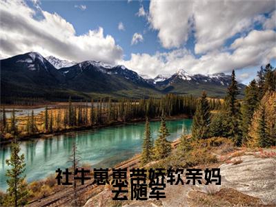 社牛崽崽带娇软亲妈去随军：结局+番外宝藏文全篇一口气_早期章节+后续（姜宁宁霍东临）