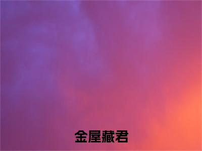 全网首发苏辞,赵晏清：+后续+番外（金屋藏君）全本完整阅读无弹窗