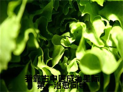 苏漾全文全文免费阅读_我靠古中医成为星际第一治愈向导全文最新章节列表笔趣阁（苏漾）
