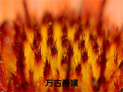 万古帝婿夜玄,赵玉龙电子书+番外篇章+（夜玄,赵玉龙）免费版在线阅读