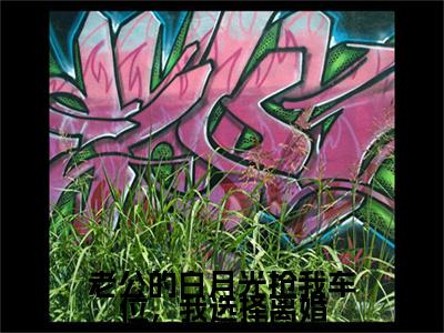 老公的白月光抢我车位，我选择离婚：+后续+番外浅浅,陆燕青,溪溪无删减小说在线无广告高口碑小说