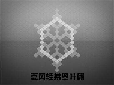 （夏风轻拂翠叶翻）夏风轻拂翠叶翻小说(齐明维,沈佳晚,江逸辰)无套路无弹窗全部章节列表