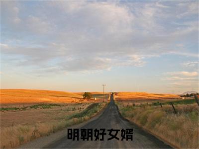 （苏木,胡莹）苏木,胡莹小说(明朝好女婿)无套路无弹窗全部章节列表