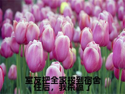 （书荒必看）室友把全家接到宿舍住后，我杀疯了小说(王倩,夏天天,李优)无删减在线下载阅读最终终章