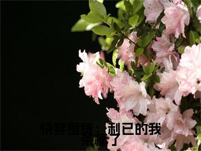 颜清沫快穿囤货：利已的我杀疯了续集起点章节+全书阅读（快穿囤货：利已的我杀疯了）书荒必看