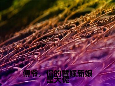 电子书+番外篇章+（傅爷，你的替嫁新娘是大佬）免费版在线阅读