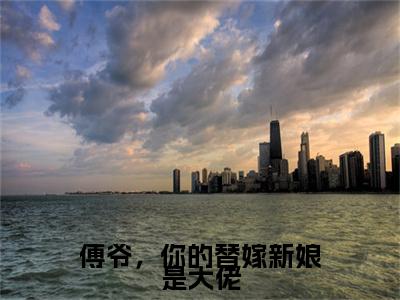 傅爷，你的替嫁新娘是大佬小说(傅西洲顾北笙)+前传（傅爷，你的替嫁新娘是大佬）阅读
