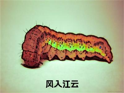 柳江云,喜鹊,萧桉小说（风入江云）TXT无套路在线+无广告结局