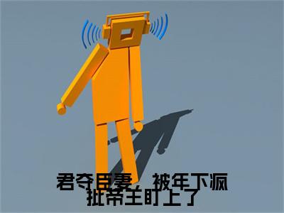 终章小说沈晚意,萧彻,霍庭钧(君夺臣妻，被年下疯批帝王盯上了)：结局+番外评价五颗星