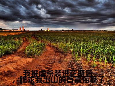 林璐璐,沈崇山,沈耀小说(我被虐杀装进花瓶后，跪求我出山的首富悔疯了)（林璐璐,沈崇山,沈耀）完整章节列表_笔趣阁