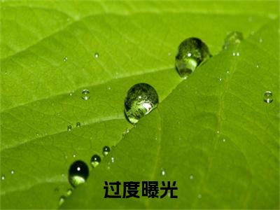 过度曝光：结局+番外新上热文（吴楠梁志远）全篇免费版在线+无障碍结局