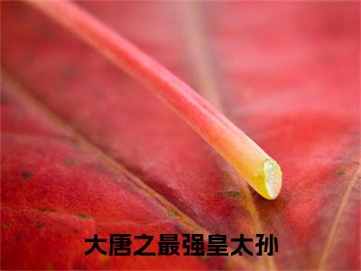 李象小说(大唐之最强皇太孙)（李象）完整章节列表_笔趣阁