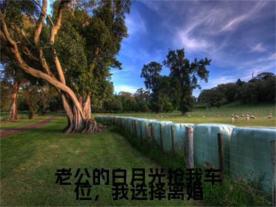（书荒必看）浅浅,陆燕青,溪溪(老公的白月光抢我车位，我选择离婚)无删减在线下载阅读最终终章