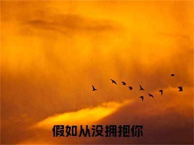 小说结尾小说宋昭黎陆铭绪小说全章已更新+无删减（假如从没拥抱你）无弹窗