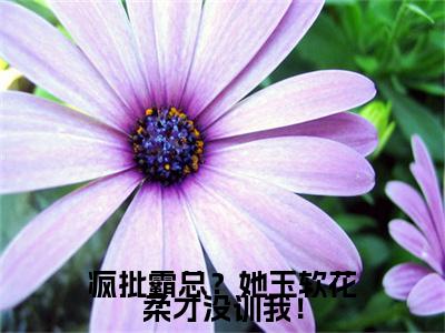 疯批霸总？她玉软花柔才没训我！(苏玉柔)（疯批霸总？她玉软花柔才没训我！）在线畅读+开篇大作+前传