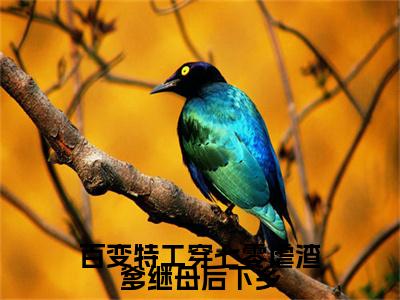 百变特工穿七零虐渣爹继母后下乡全文免费阅读无弹窗大结局_宋雪瑶最新章节列表_笔趣阁（百变特工穿七零虐渣爹继母后下乡：完结+结局+番外）